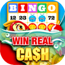 Bingo Paradise: Cash Prizes