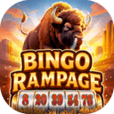 Bingo Rampage